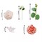 Pink Foam Peonies Roses White Silk Daisies Hydrangeas FAUX FLOWER BOXParty